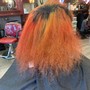 Ombre Color Melt (style not included)