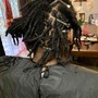 Starter Locs