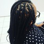 Boho Braids over Locs