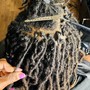 Root Touch Up