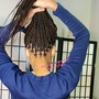 Kid's  Feed~in  Braid Styles