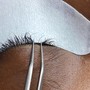 Classic Eyelash Extension