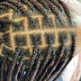 Butterfly Feed in Braids