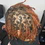 Traditional Loc retwist and style