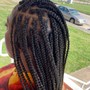 Fulani Braids with box braids