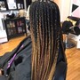 Young Kids lemonade braids