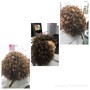 Hawaiian Silky or permanent wave (retouch185) (Virgin220)