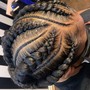 2 Feeding Braids (Hair Included)