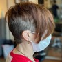 Short Hair Partial Highlight/Lowlight + Cut