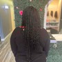 Adult Senegalese Twist