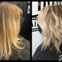 Root Touch Up (single color)