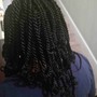 Havana Twists