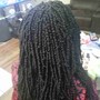 Box Braids