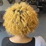 Root Touch Up