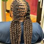 Comb Twist