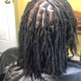 Kid Starter Locs