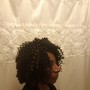 Crochet Braids and twists styles hair included