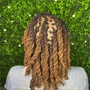 Feed in Braids (8-12 Braids)