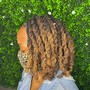 Feed in Braids (8-12 Braids)