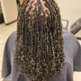 Havana Twists