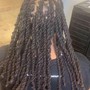 Loc Retwist Short to Shoulder (No Style)