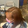 Root Touch Up