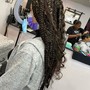 Individual Braids