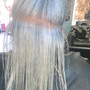 Root Touch Up