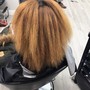 Root Touch Up