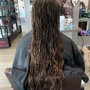 Root Touch Up