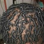 Starter Dreadlocks (2-inche