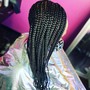 2 Feeder Braids