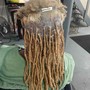 Small STARTER LOCS with two strand twist