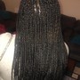 Senegalese Twist