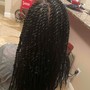 Senegalese Twist