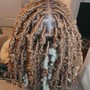 Take Down (Butterfly locs/Soft locs)