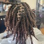 Starter Dreadlocks (100 or less) Two Strand Twist