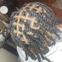 Natural 2-Strand Twist Style