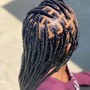 Mini Box Braids