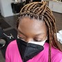 Medium regular box Braids