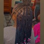 Kid's Starter Locs