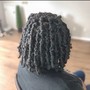 Starter price for starter MICRO LOCS