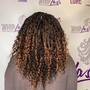 Medium/Large Midback Passion Twists