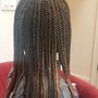 Kid's Box Braids (16 inch)