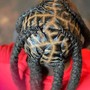 Loc Shampoo & Retwist Only- Top of the Head