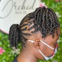 French Braids( no hair added )