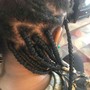 Loc Detox (does not include retwist)