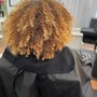 Root Touch Up