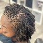 Dreadlocks Touch-Up