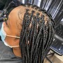 Medium Med-back Box Braids